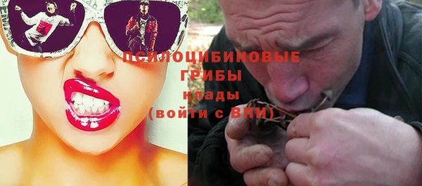 MESCALINE Аркадак