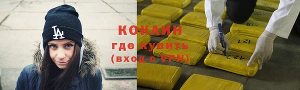 индика Балахна