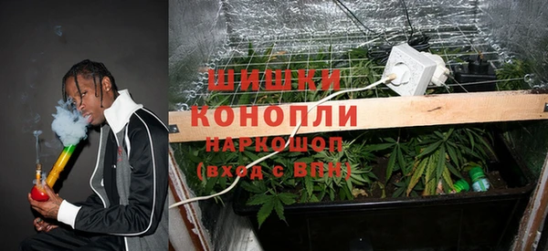 MESCALINE Аркадак