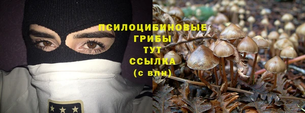 синтетический гашиш Алексеевка